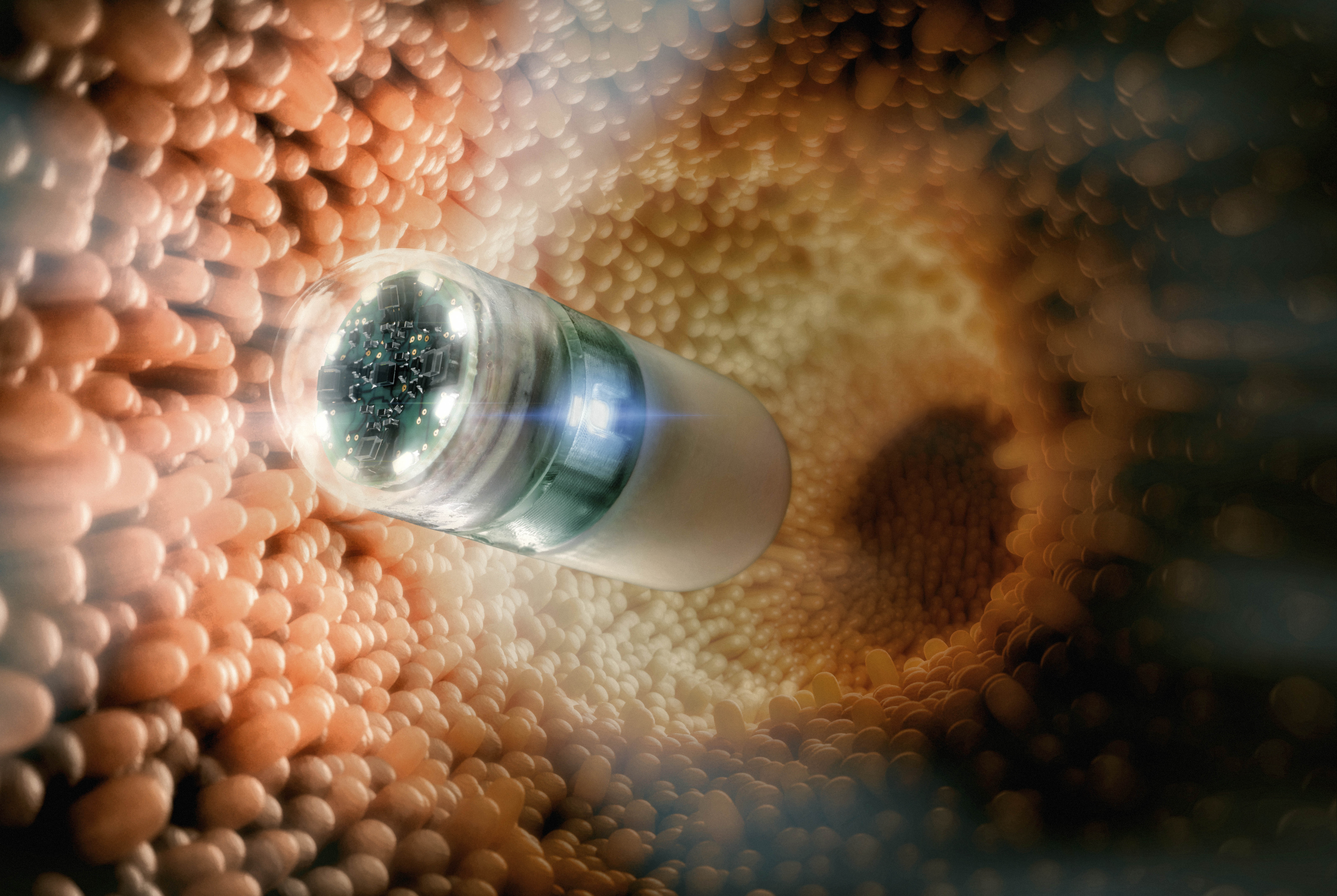 Computer animation of the pill camera in the small intestine.