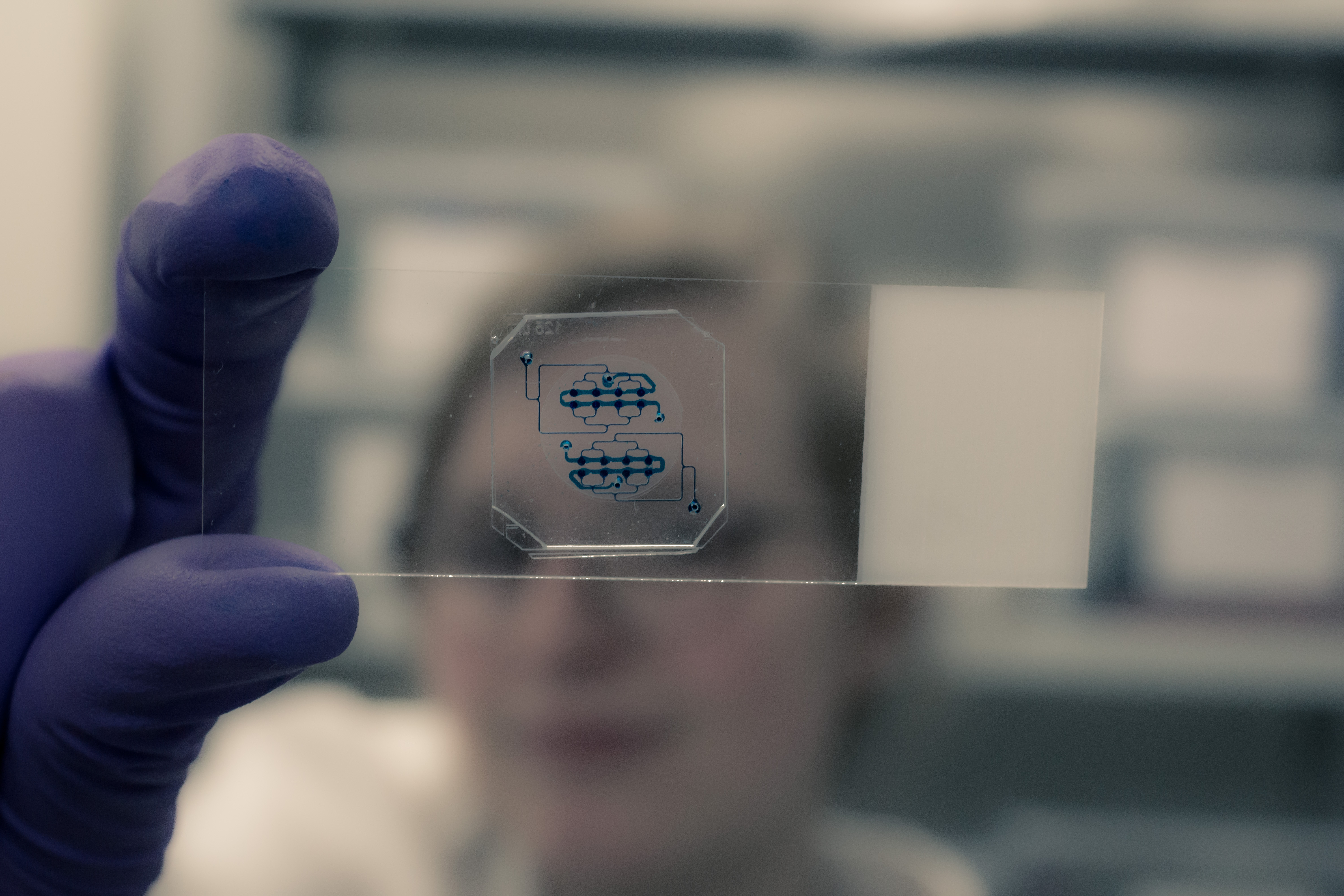 Hand holding a fat chip (organ-on-a-chip) into the camera. The chambers and capillaries of the microfluidic system are clearly visible. 