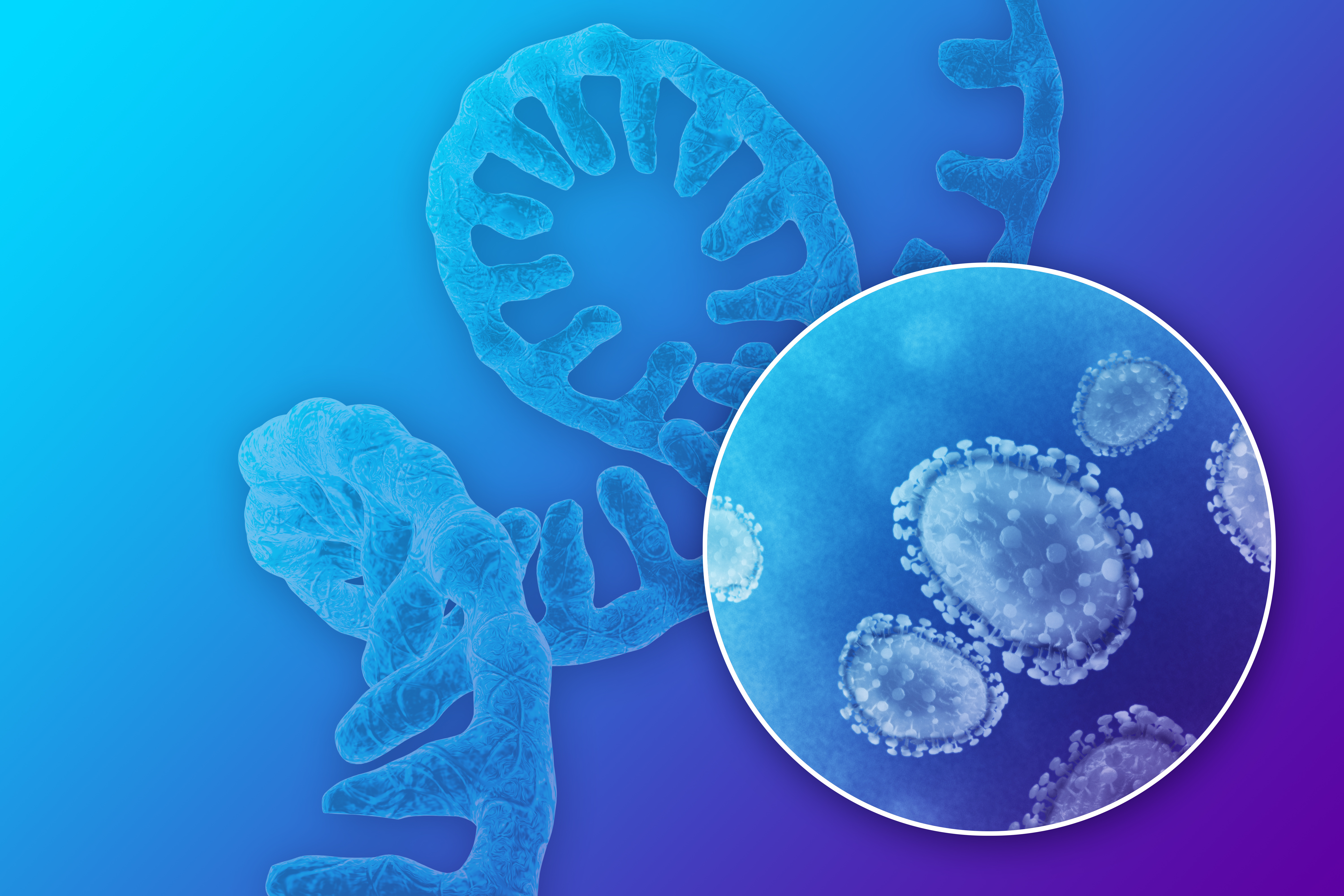 Decorative image with a schematically depicted virus in the foreground and a DNA strand in the background.