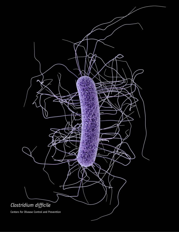 Basierend auf mikrofotografischen Daten zeigt das Bild die dreidimensionale Illustration eines stäbchenförmigen, lila eingefärbten Clostridium-diffile-Bakteriums.