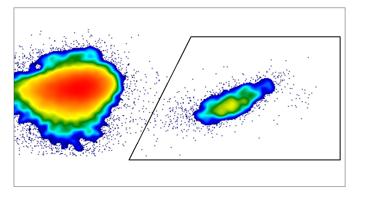 Colour photo showing immunisation reaction during which numerous defence cells gather in close proximity to an antigen.