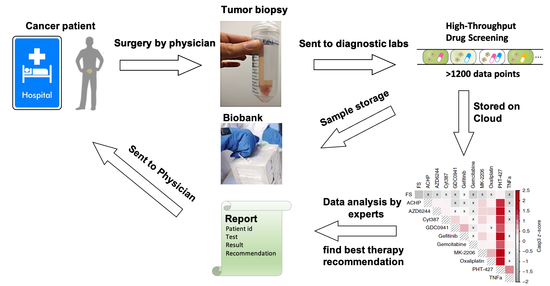 Individual steps of the approach used by the planned start-up for personalised cancer therapy, TheraMe!. The approach enables the company to make precise predictions on the best possible therapy involving one or more drugs within 24 hours.