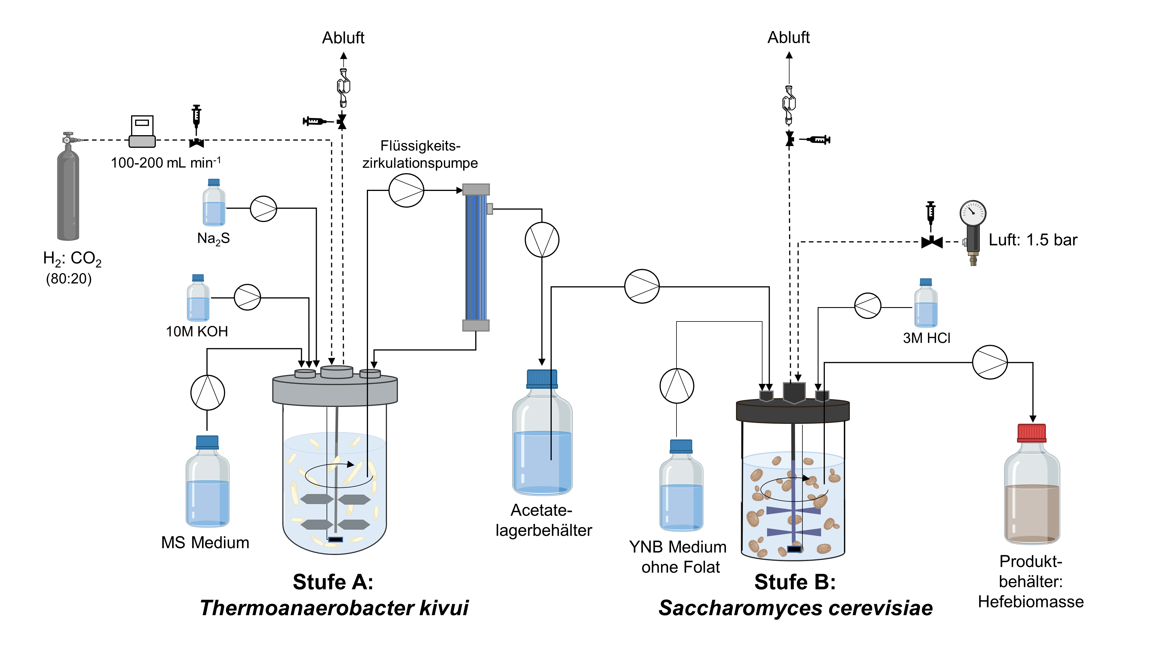In einer schematischen Zeichnung sind die beiden Bioreaktoren dargestellt sowie sämtliche Zu- und Abflüsse mit Bezeichnung der Inhaltsstoffe.