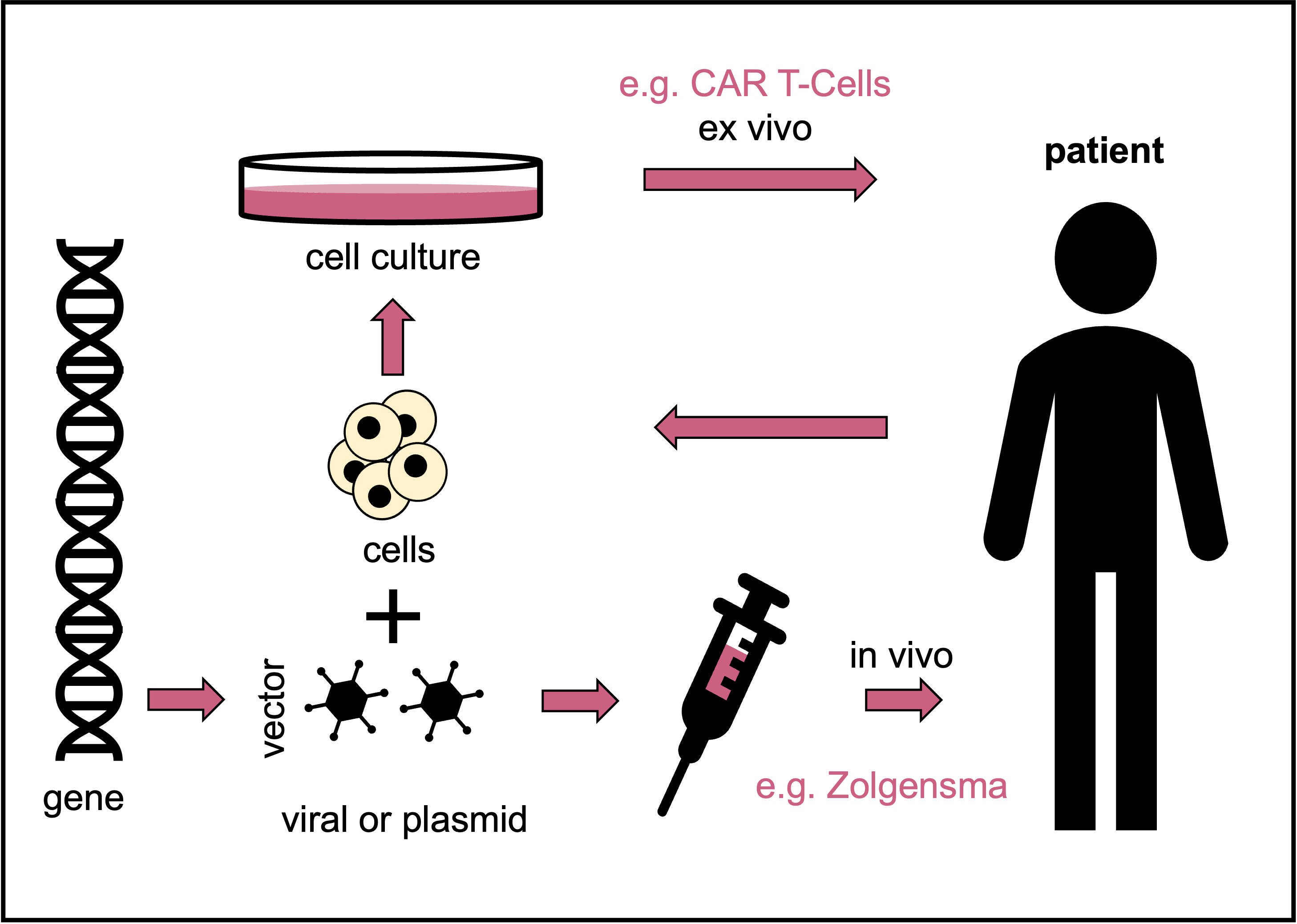 In-vivo-Gentherapien wie Zolgensma und Ex-vivo-Gentherapien wie CAR-T-Zellen.