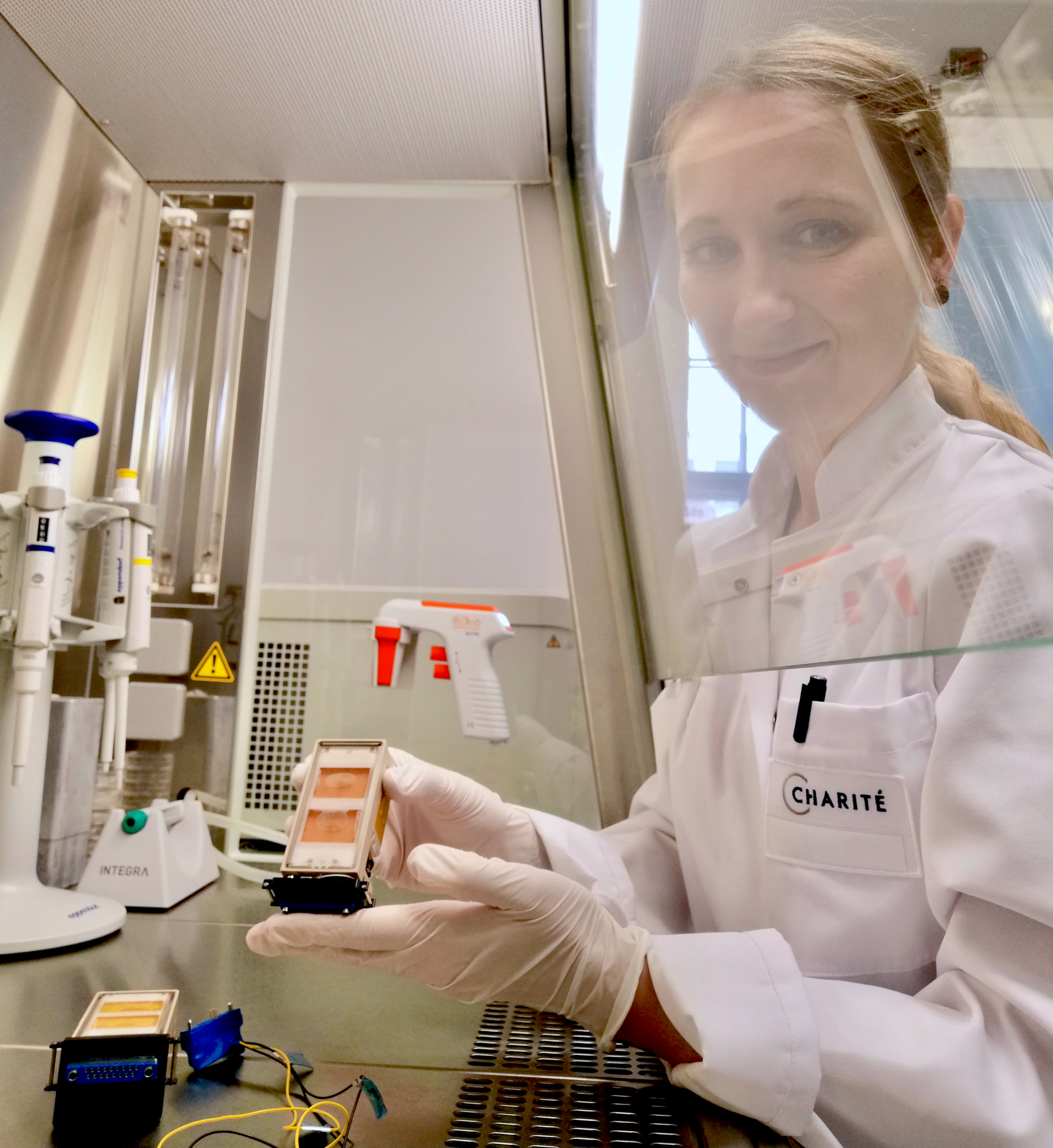 Scientist in the laboratory at a cell culture workbench with a cell chamber