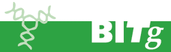 Logo Bitg