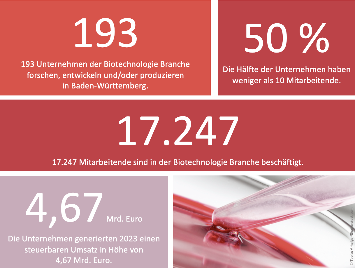 Grafik, die die Branchenkennzahlen wie Unternehmensanzahl, Mitarbeitende, Umsatz der Biotechnologie in Baden-Württemberg zeigt.