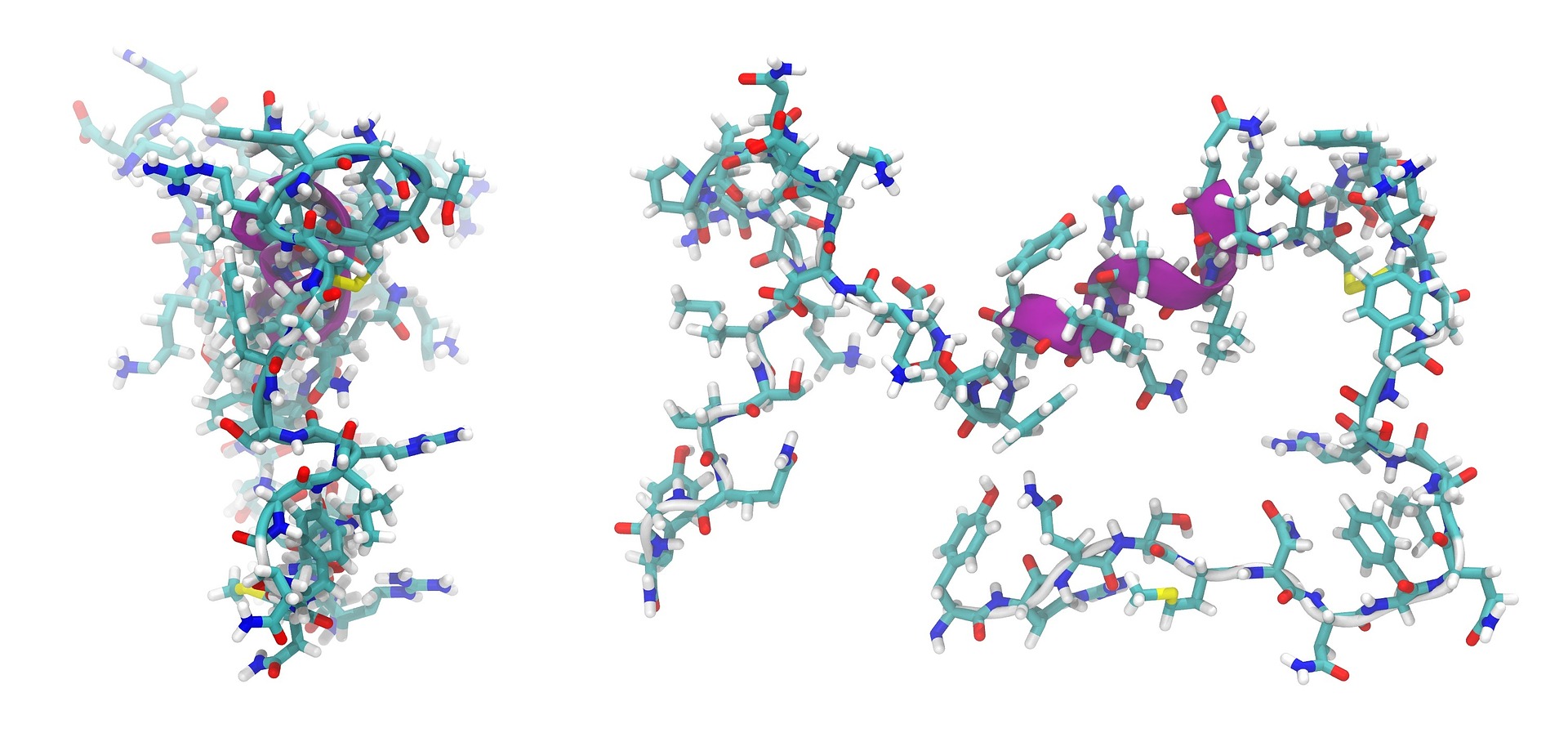Zu sehen ist eine Molekülstruktur des Peptids Adrenomedullin