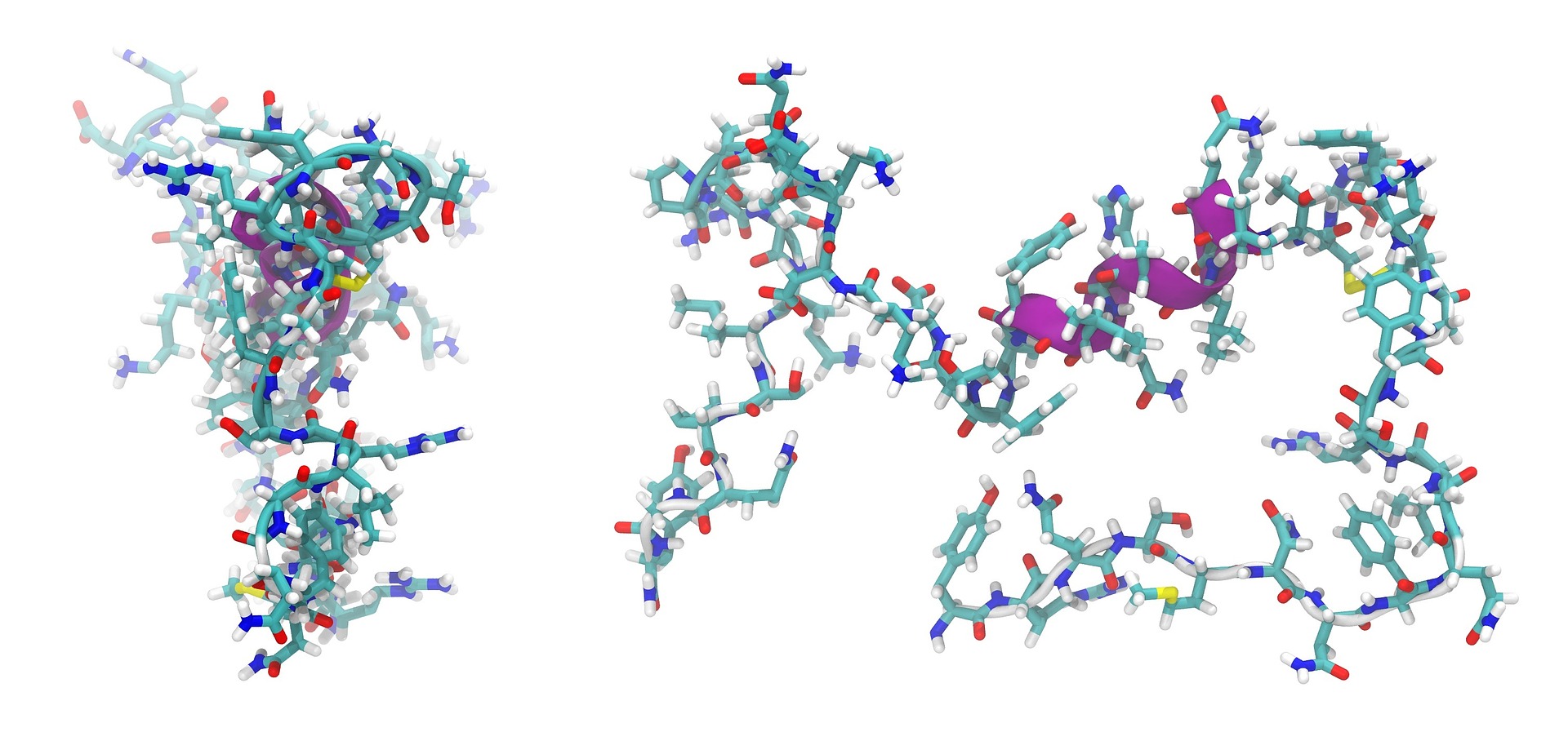 A molecular structure of the peptide adrenomedullin is shown.