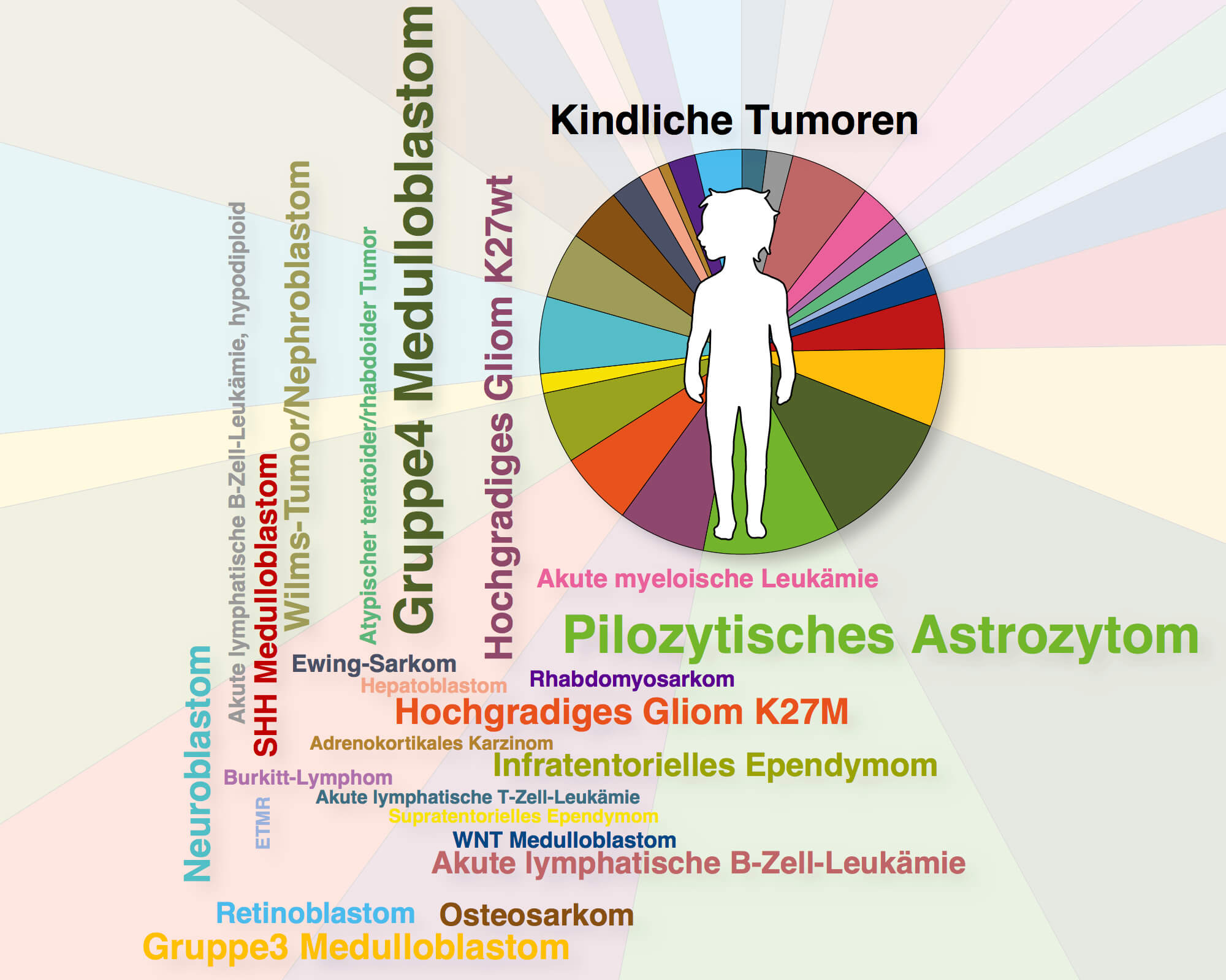 Grafische Darstellung der Vielzahl verschiedener Subgruppen kindlicher Hirntumoren.