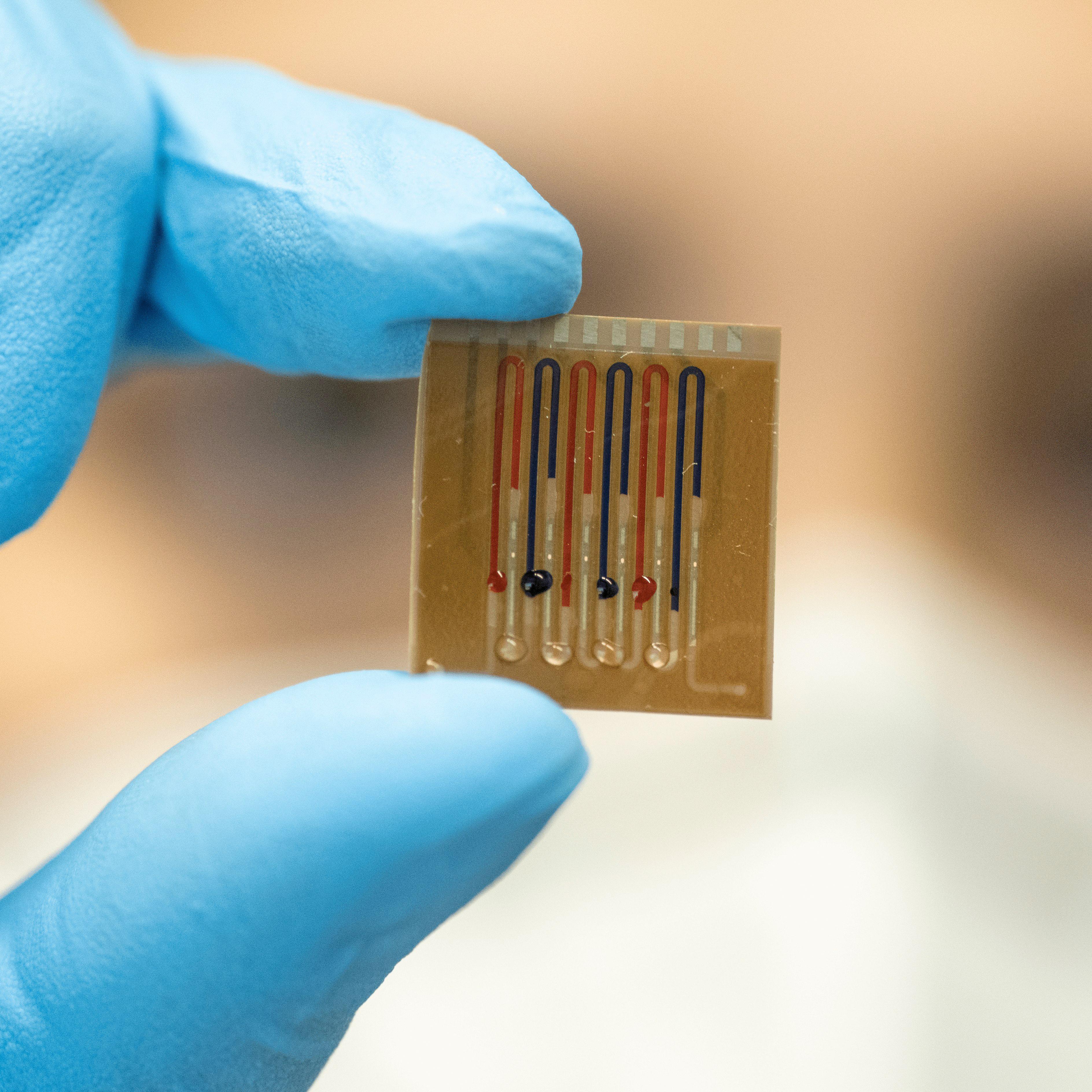 Close-up of a multiplex chip with red or blue channels being held between two fingers in blue gloves.