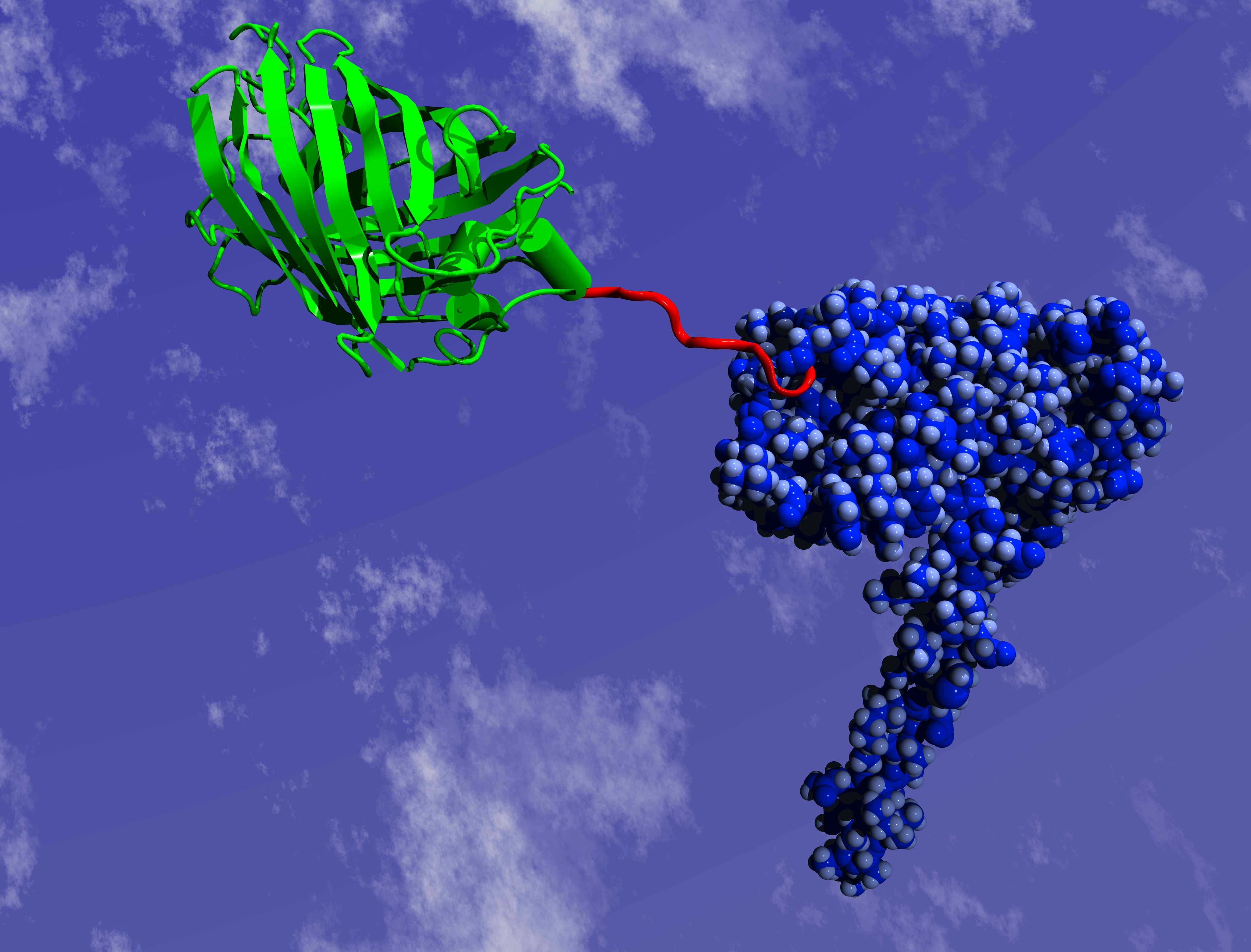 The Definitive Guide To Understanding Biological Response In Biology - 7wcqhr4