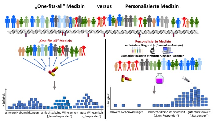 Das Bild ist in zwei Hälften geteilt. Auf der linken Seite ist eine Gruppe von Patienten mit der Überschrift "One-fits-all Medizin" abgebildet. Alle Patienten erhalten die gleiche Therapie. In der rechten Bildhälfte ist die personalisierte Medizin dargestellt. Hier sind Patienten mithilfe molekularer Diagnostik sowie Biomarker-basierter Stratifizierung gruppiert. Es werden je nach Gruppe unterschiedliche Therapien eingesetzt. In einem Diagramm in beiden Bildhälften sind Wirksamkeit und Verträglichkeit der jeweiligen Therapien dargestellt. Es ist ersichtlich, dass sich bei der personalisierten Medizin gegenüber der One-fits-all-Medizin die Nebenwirkungen verringern und die Wirksamkeit verbessert.