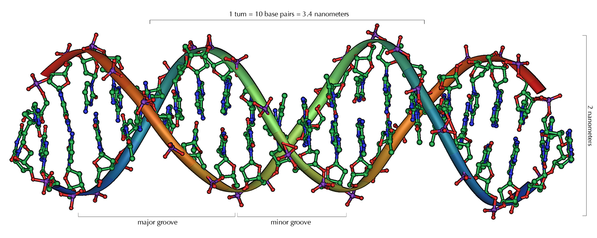 Dna From Watson And Crick To Modern Molecular Biology