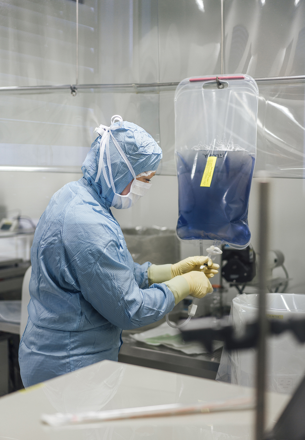 Das Foto zeigt die bläuliche Hämolymphe in einem hängenden Plastikbeutel. Von einer Mitarbeiterin wird die Hämolymphe steril abgelassen.