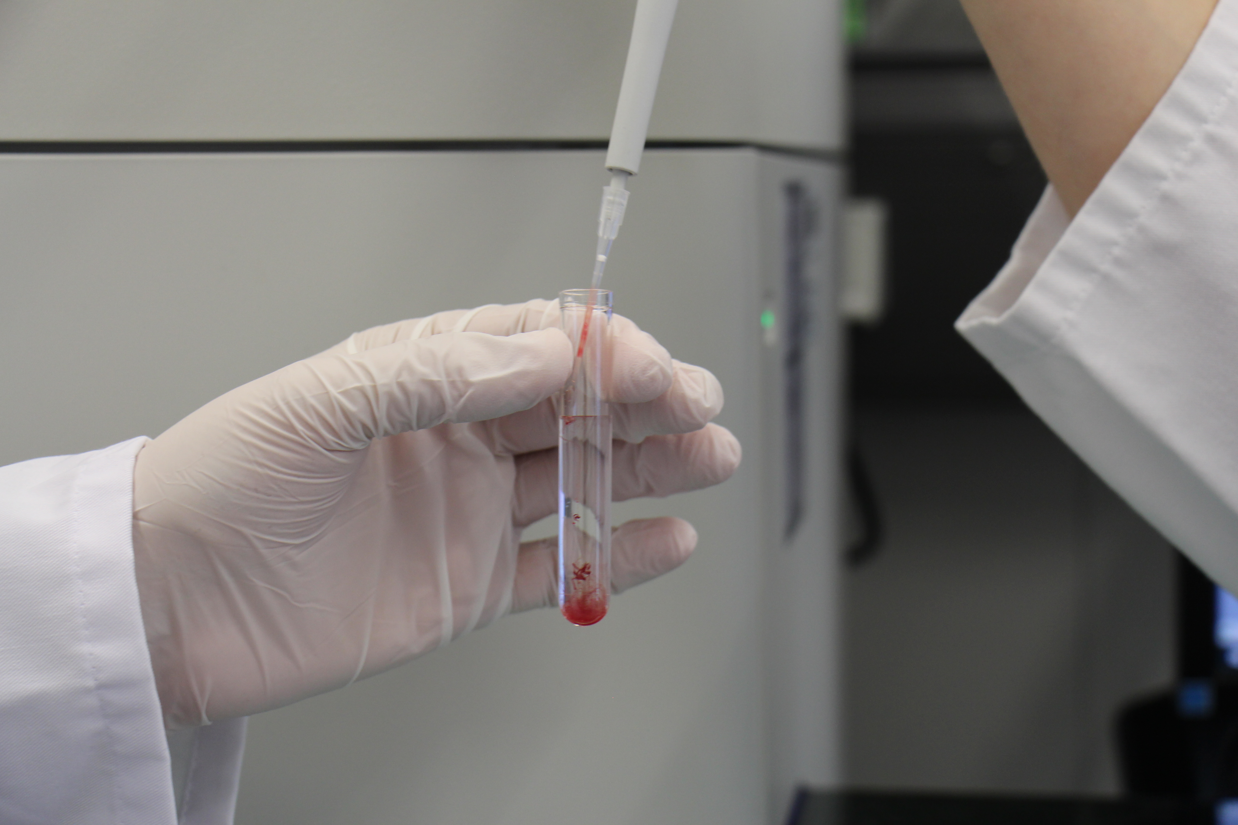 A hand with a disposable glove pipetting blood into a glass tube.