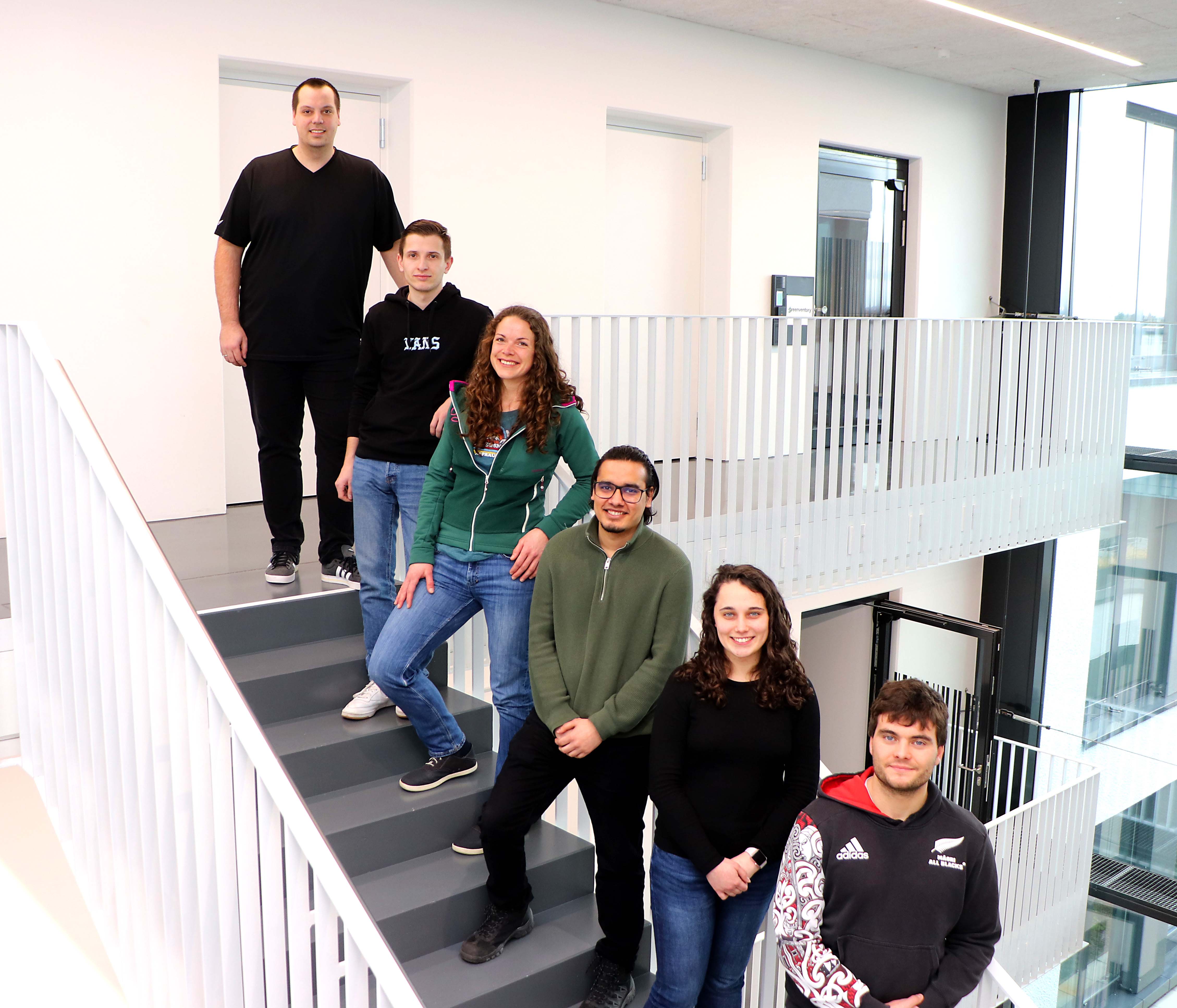 The six company employees, four men and two women, standing one below the other on a staircase and smiling at the camera.