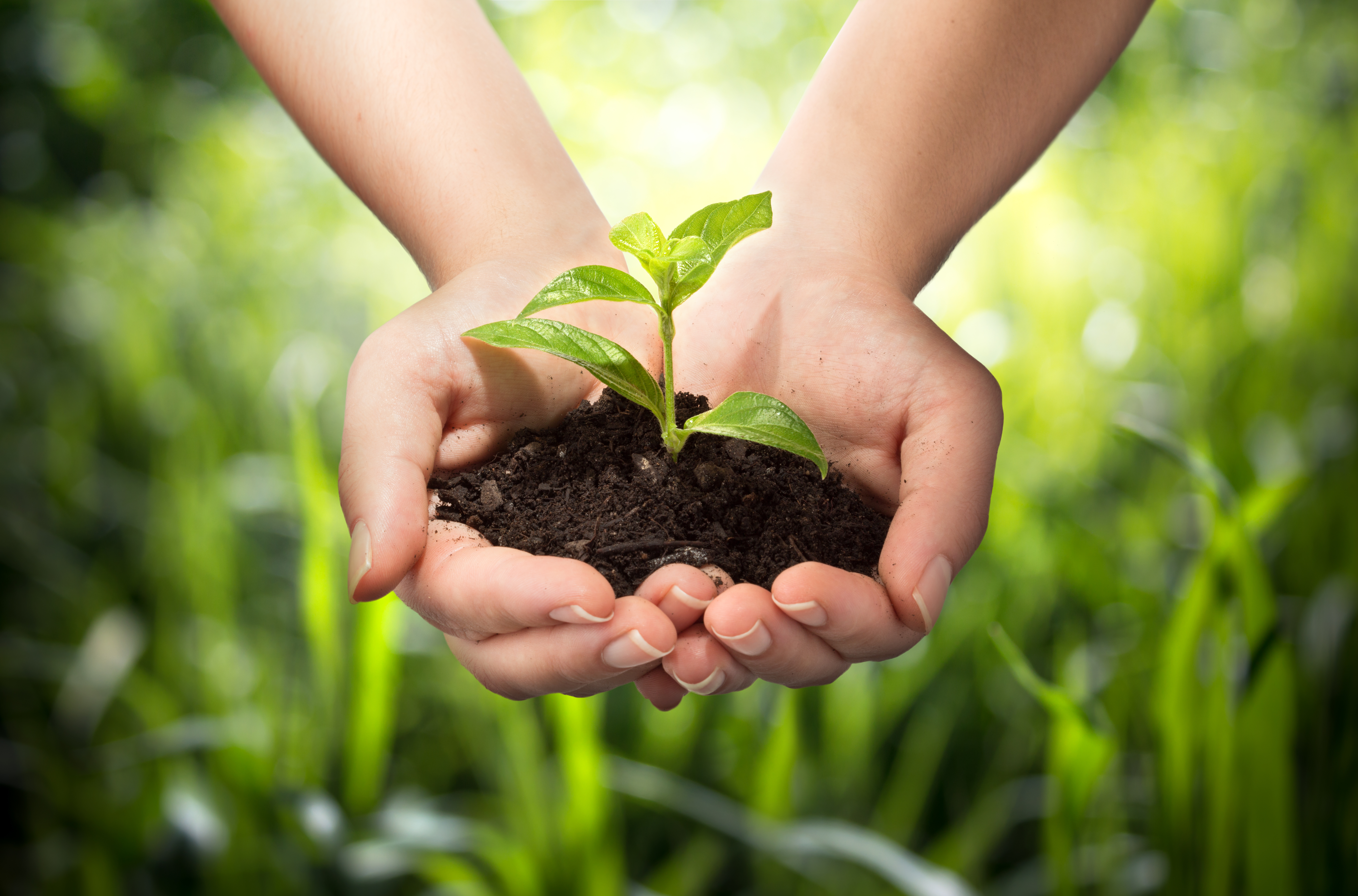 Startseite Gesundheitsindustrie Startseite Gesundheitsindustrie