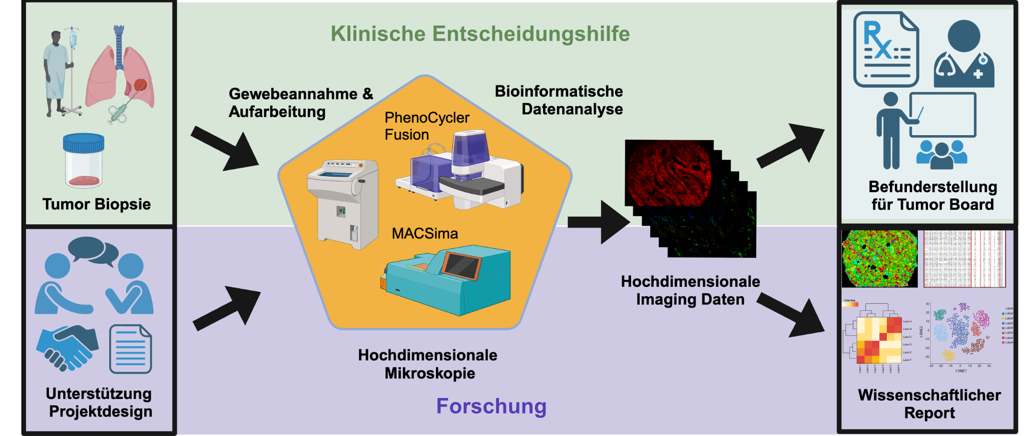 The individual steps of the workflow at Vicinity Bio are illustrated.