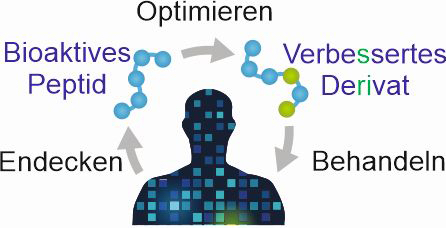 A schematic shows how bioactive peptides are extracted from the body, improved and returned to the body.