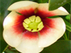 15629_de.jpg