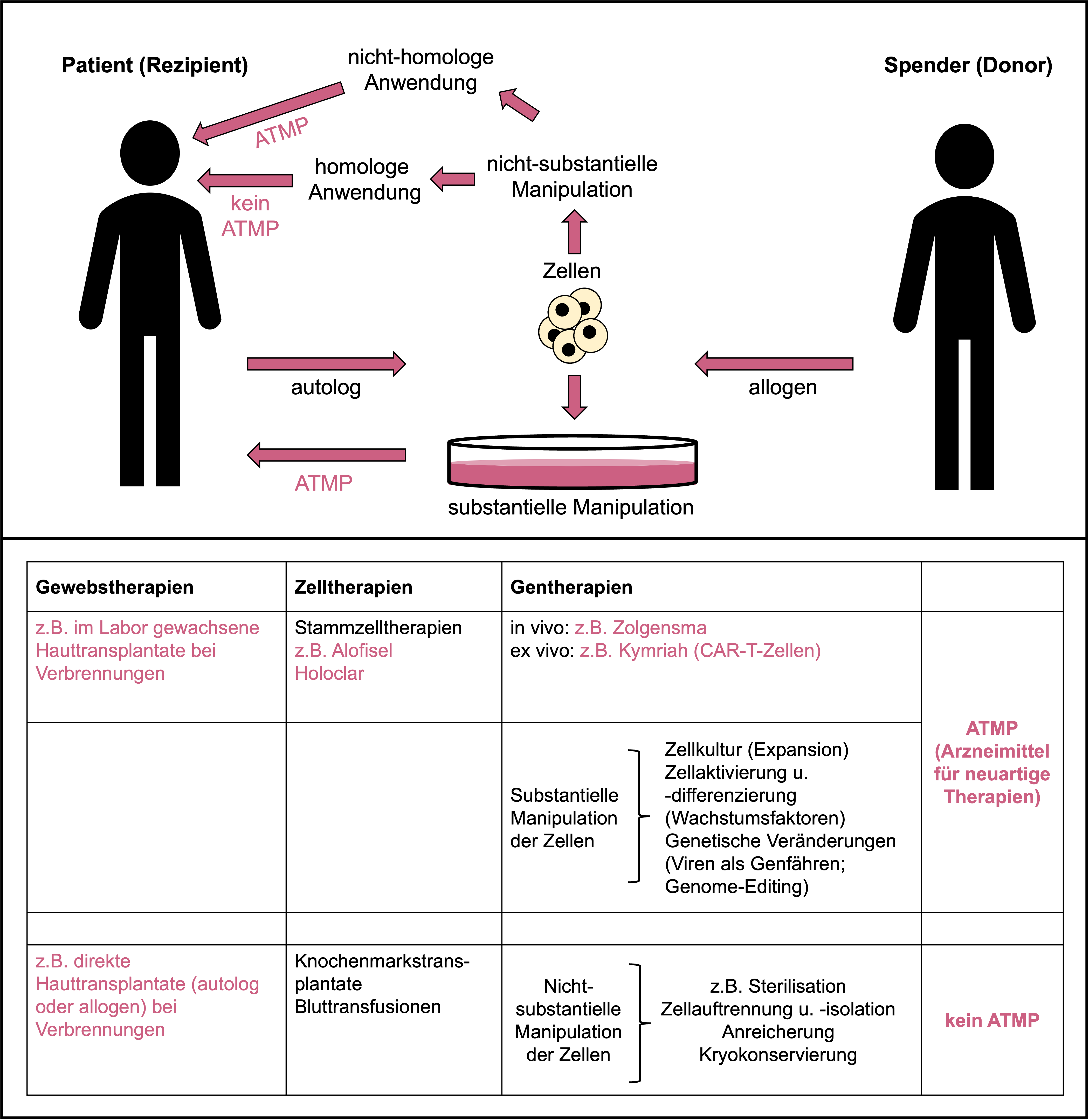 Definitionen von ATMP („advanced therapy medicinal products“), Zelltherapien und Gentherapien.