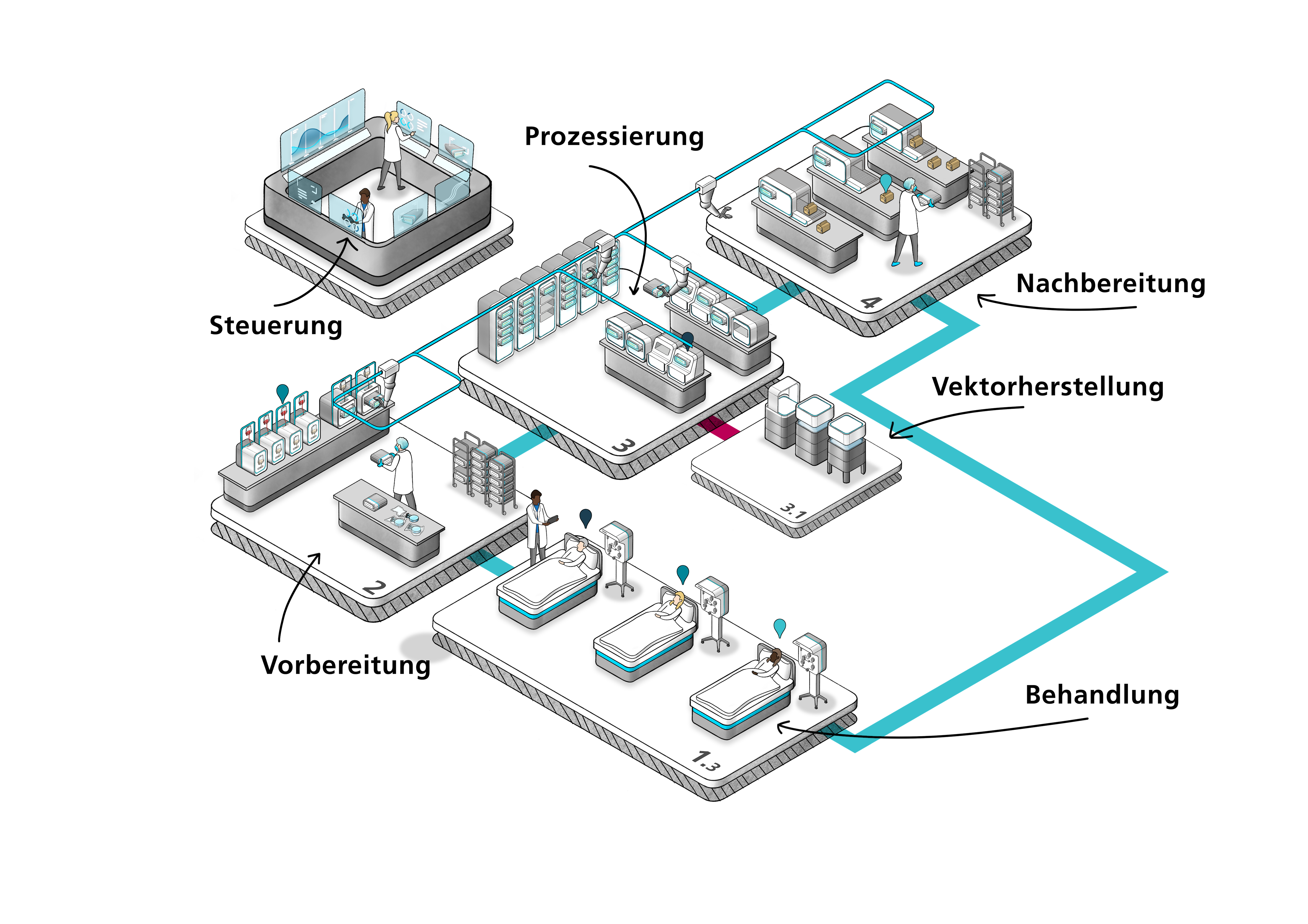 Drawing illustrating the individual steps inside a mini-factory, starting with the collection of T lymphocytes, the preparation, processing and post-processing of the CAR T cells and ending with the treatment of the patient.