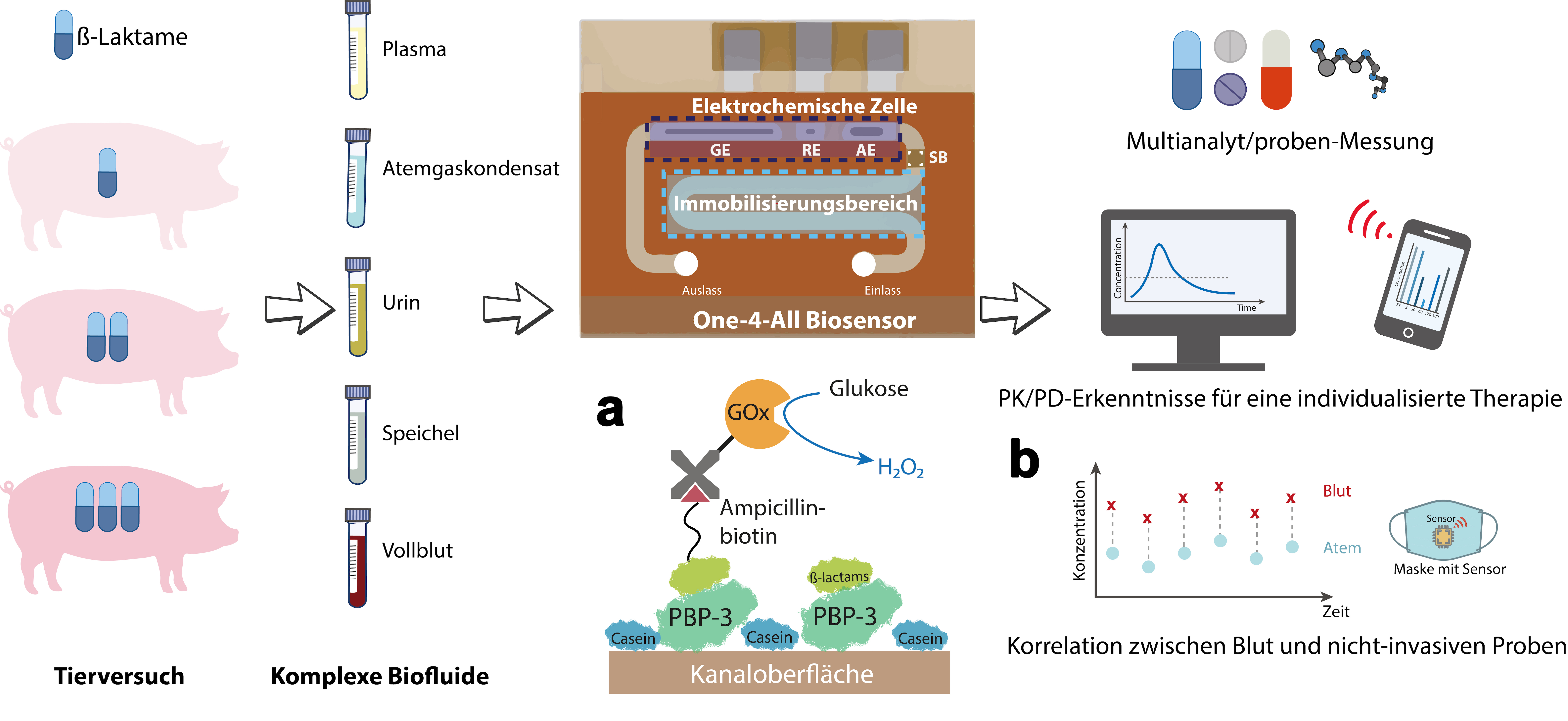 Zeichnerische Darstellung der Analyseschritte. Die Schweine, Probenröhrchen, der Sensor und Ausgabegeräte sind schematisch dargestellt.
