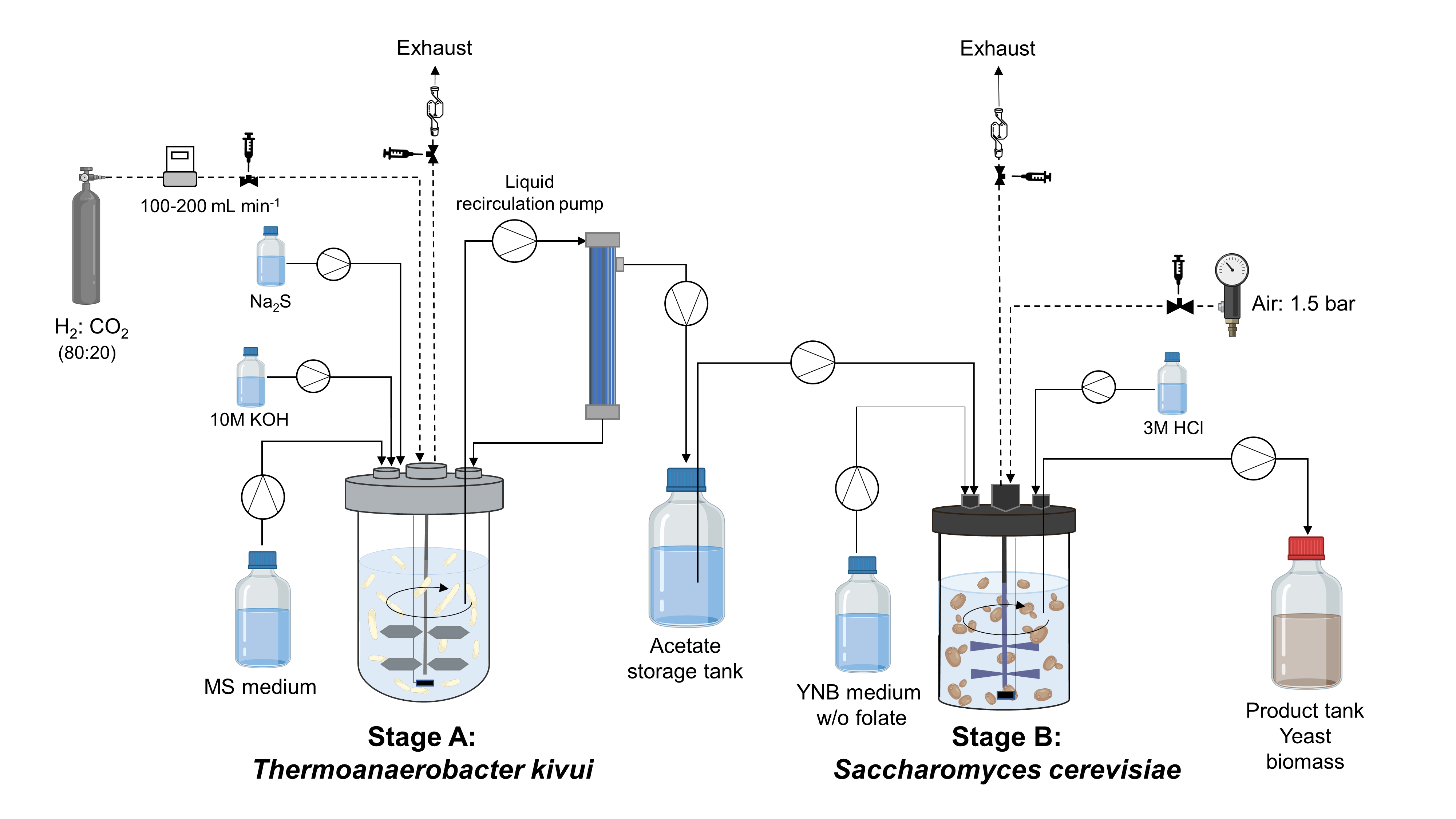 A schematic drawing shows the two bioreactors as well as all inflows and outflows with the names of the ingredients.