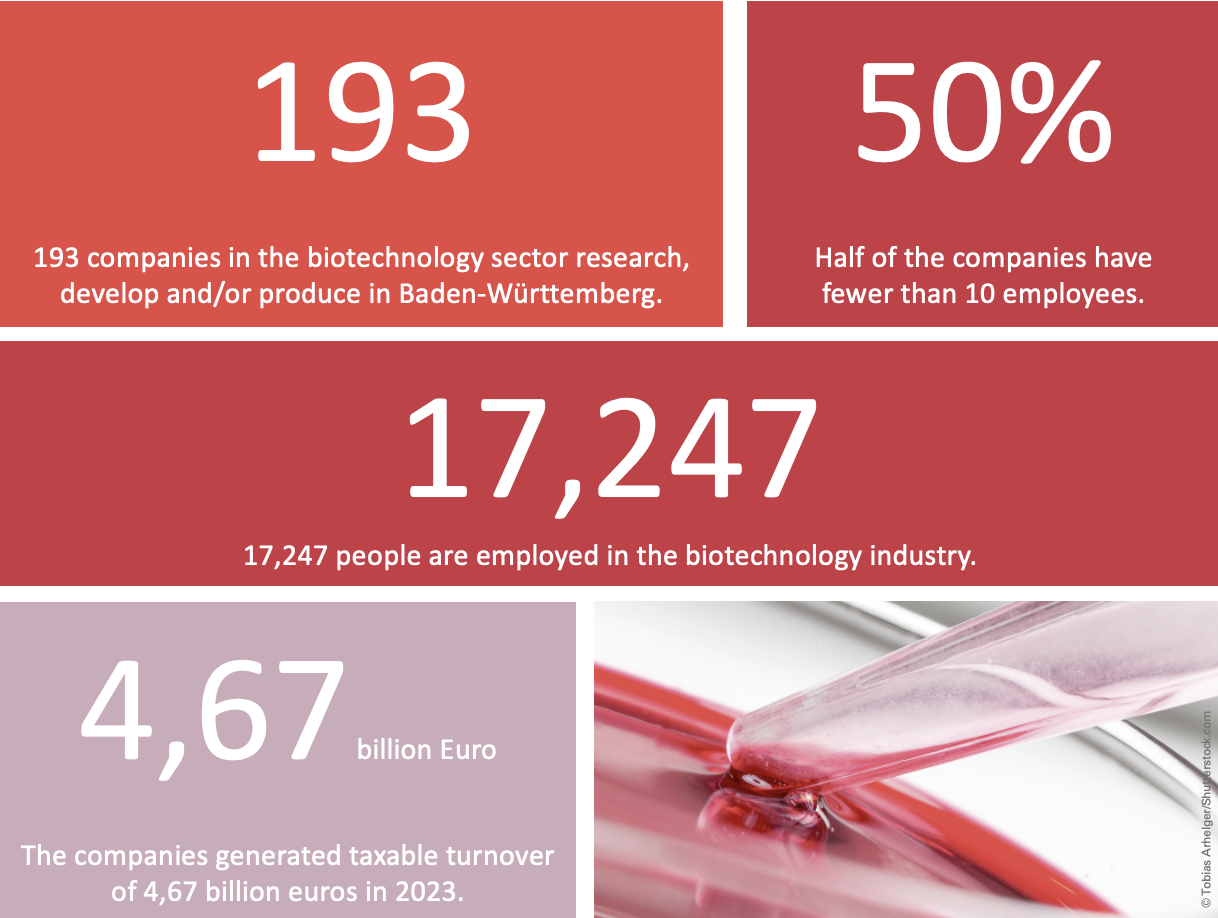 Graphic showing key industry figures such as the number of companies, employees and revenue in the biotechnology sector in Baden-Württemberg.