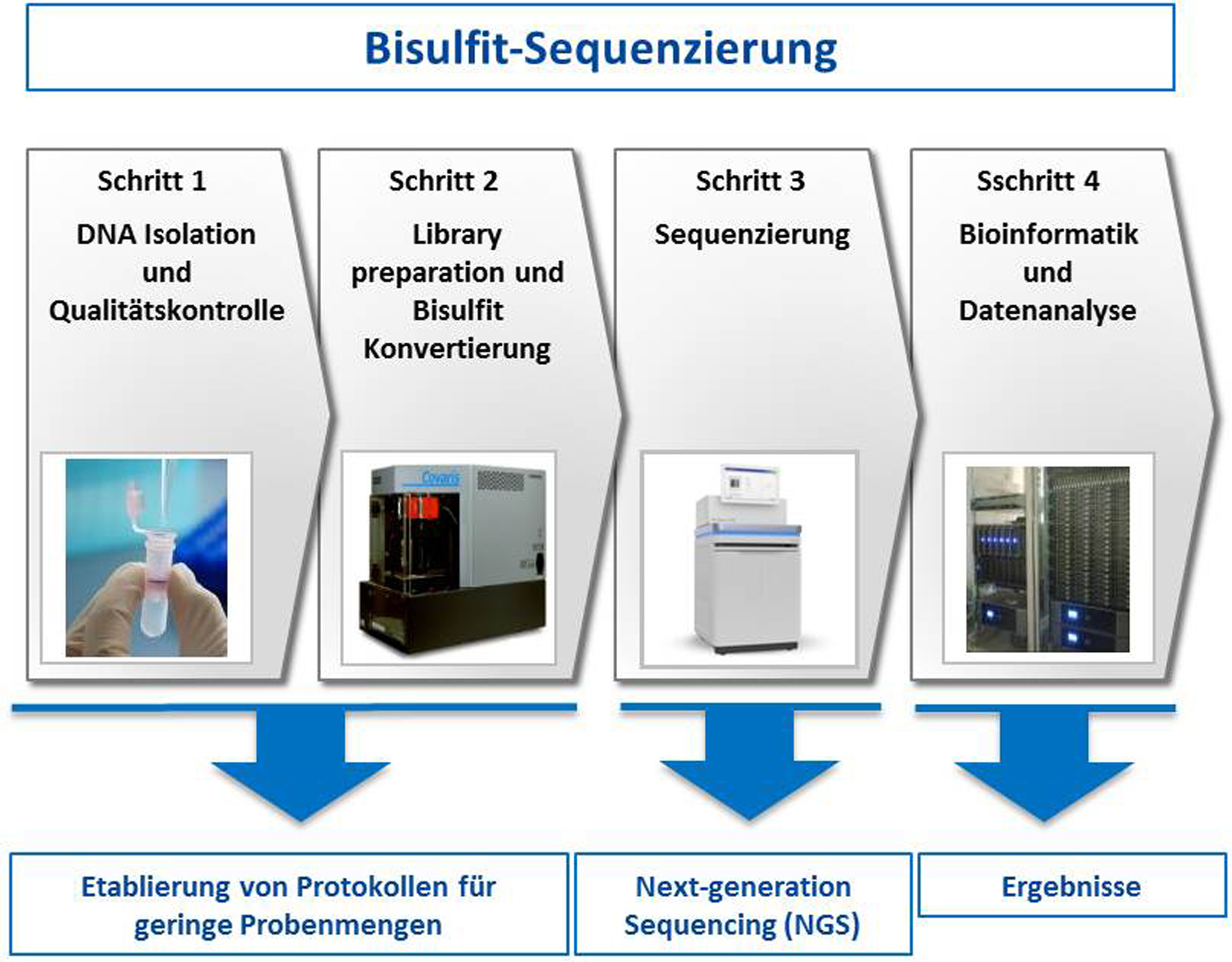 The diagram shows schematically how bisulphite sequencing works and the devices needed for doing so.