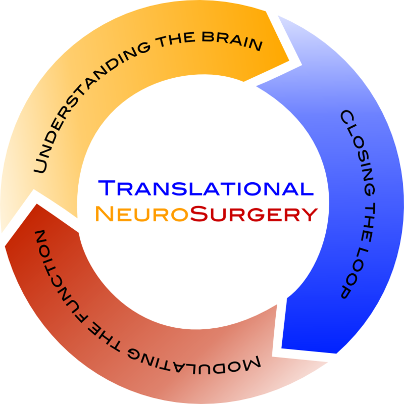 Schematic with differently coloured arrows to illustrate the relationship between our increasing understanding of brain function and therapy development possibilities.