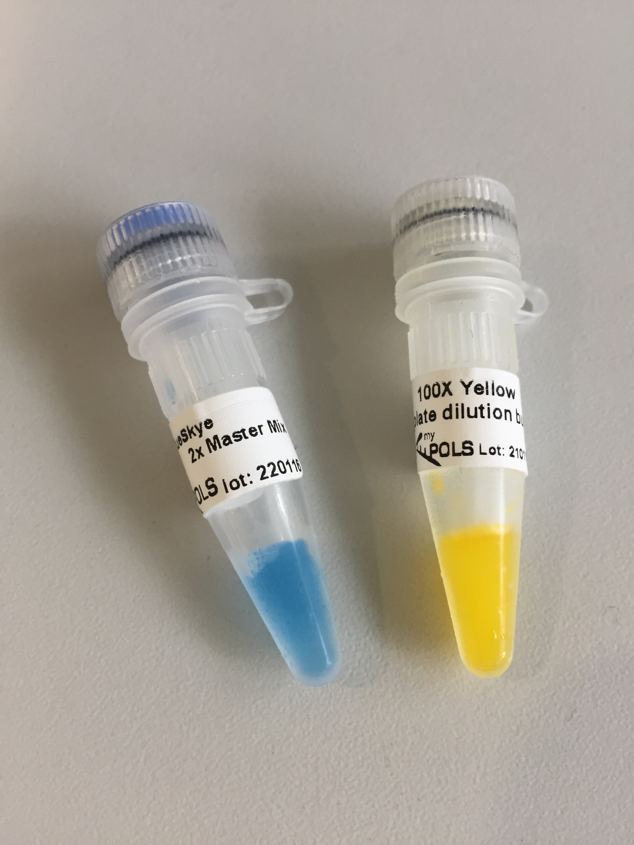 Zwei Reaktionsgefäße – eines mit blauem Reaktionsmix, das andere mit gelber Enzymverdünnung.