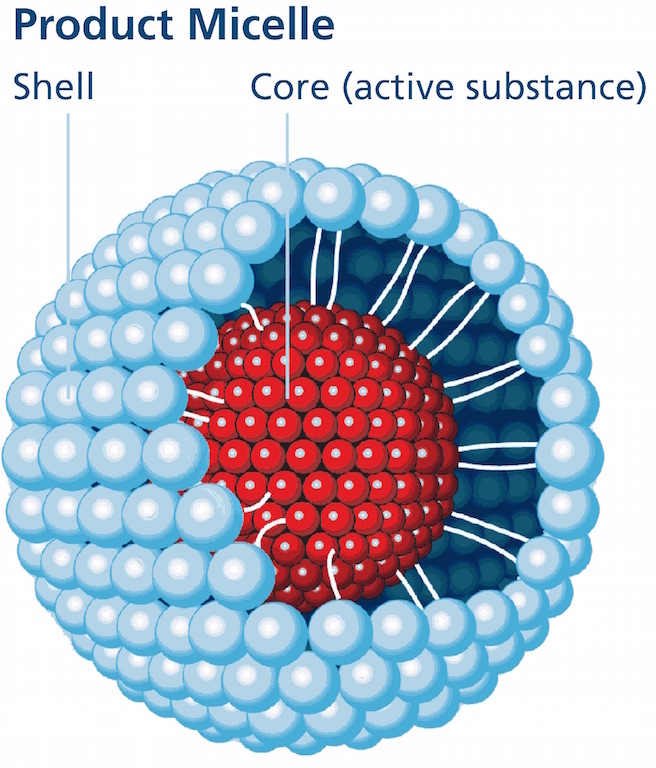 Grafik einer Produktmizelle: hellblaue Kügelchen symbolisieren die Hülle (Shell) aus Polysorbaten, rote Kügelchen im Inneren (Core) symbolisieren die zu transportierenden sekundären Pflanzenstoffe (active substance). Weiße, fädige, nach innen gerichtete S