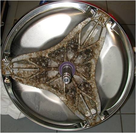 Aufnahme zeigt Spuren von Biofilm in einer Waschmaschine.