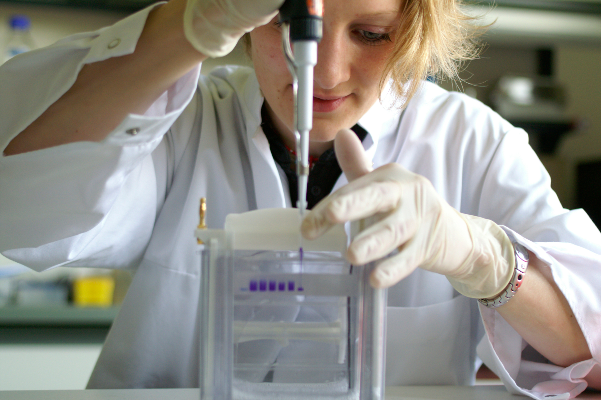 Eine Frau im Laborkittel pipettiert blaue Flüssigkeit in eine Elektrophorese.
