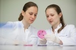 Two scientists looking at a Petri dish with artificial tissue.