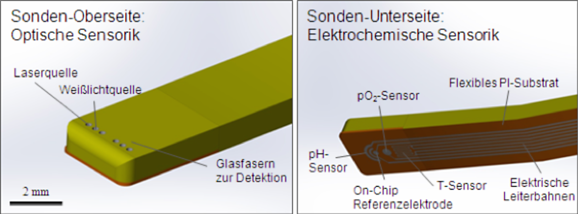 Grafische Darstellung des flexiblen flachen, rechteckigen Sondenkopfes. Er beinhaltet auf der grün dargestellten Oberseite die optische Sensorik (kleine Punkte markieren die Laser- und Lichtquellen) und auf der Unterseite die elektrochemische Sensorik.