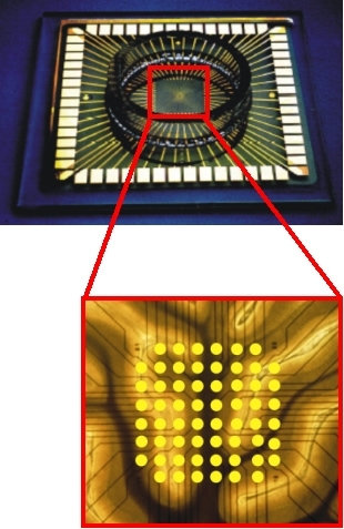 Multi-Elektroden-Array-Chip mit aufgebauter Zellkulturschale. Der Ausschnitt zeigt das Elektrodenarray.