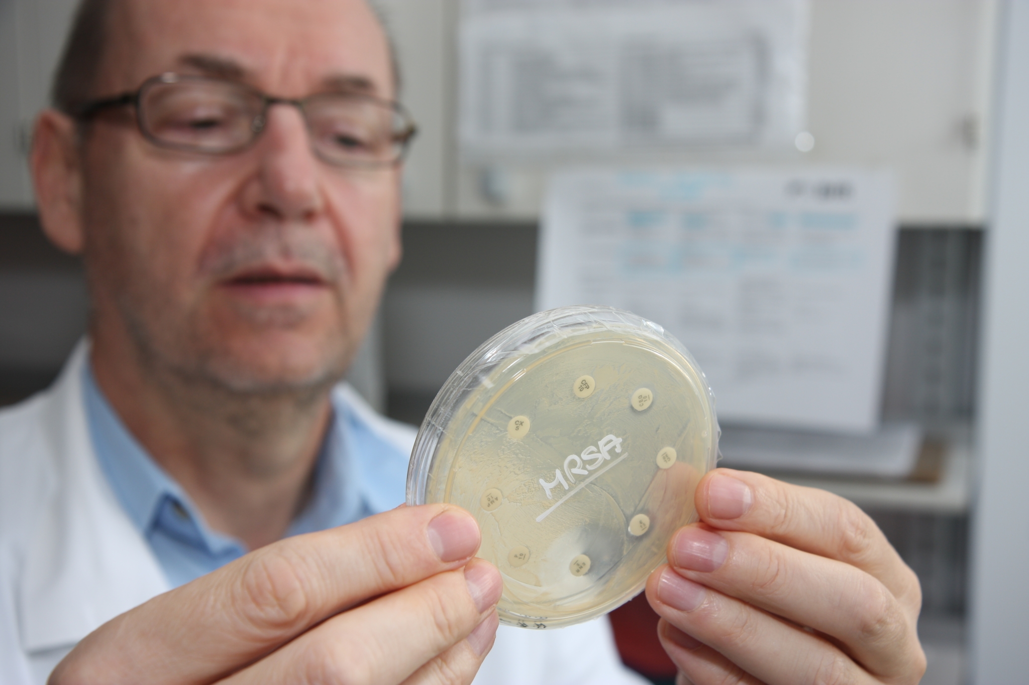 MRSA detection in a Petri dish.
