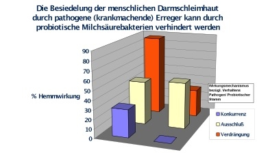 Number of pathogens (given in %) that grow on intestinal cells in a cell culture dish when two different probiotic bacterial strains are incubated simultaneously (lilac), probiotic bacteria are cultivated following the initial colonisation of the culture