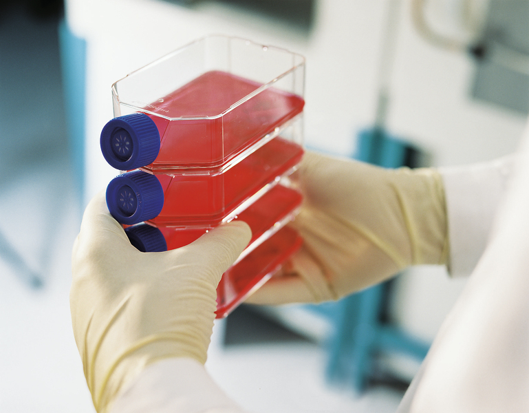 The photo shows cell culture flasks with a red liquid, an early stage in the development of biopharmaceuticals called upstreaming.