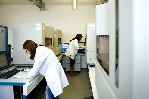The photo shows a sequencing laboratory at GATC whose employees operate big sequencing systems.