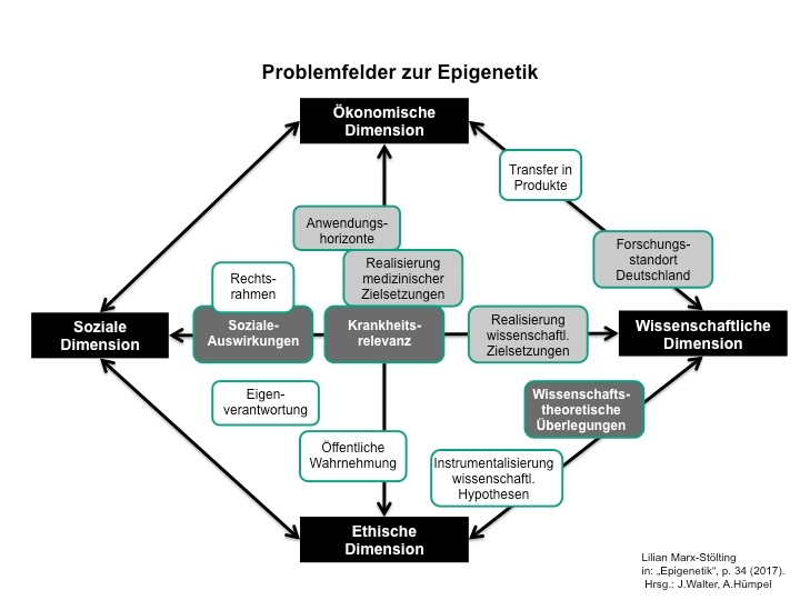 Darstellung der in dem Themenband eruierten Problemfelder im Bezugsrahmen der wissenschaftlichen, ethischen, sozialen und ökonomischen Dimension der Epigenetik.