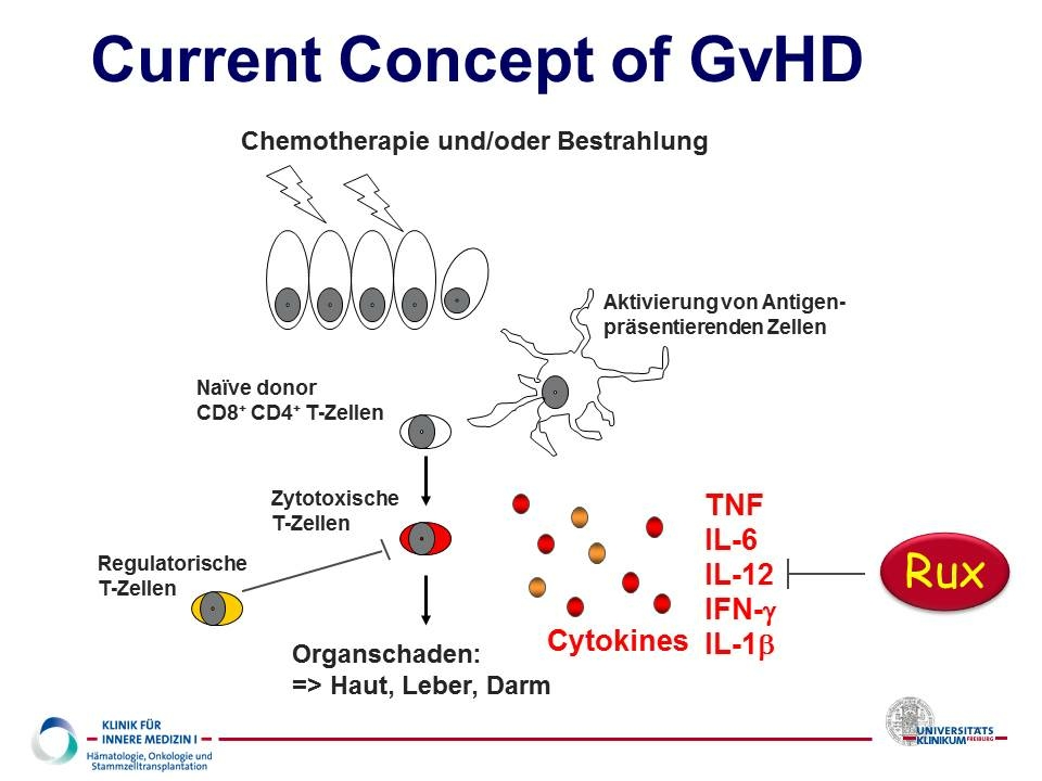 Schematic of graft-versus-host disease and the ruxolitinib mechanism of action.