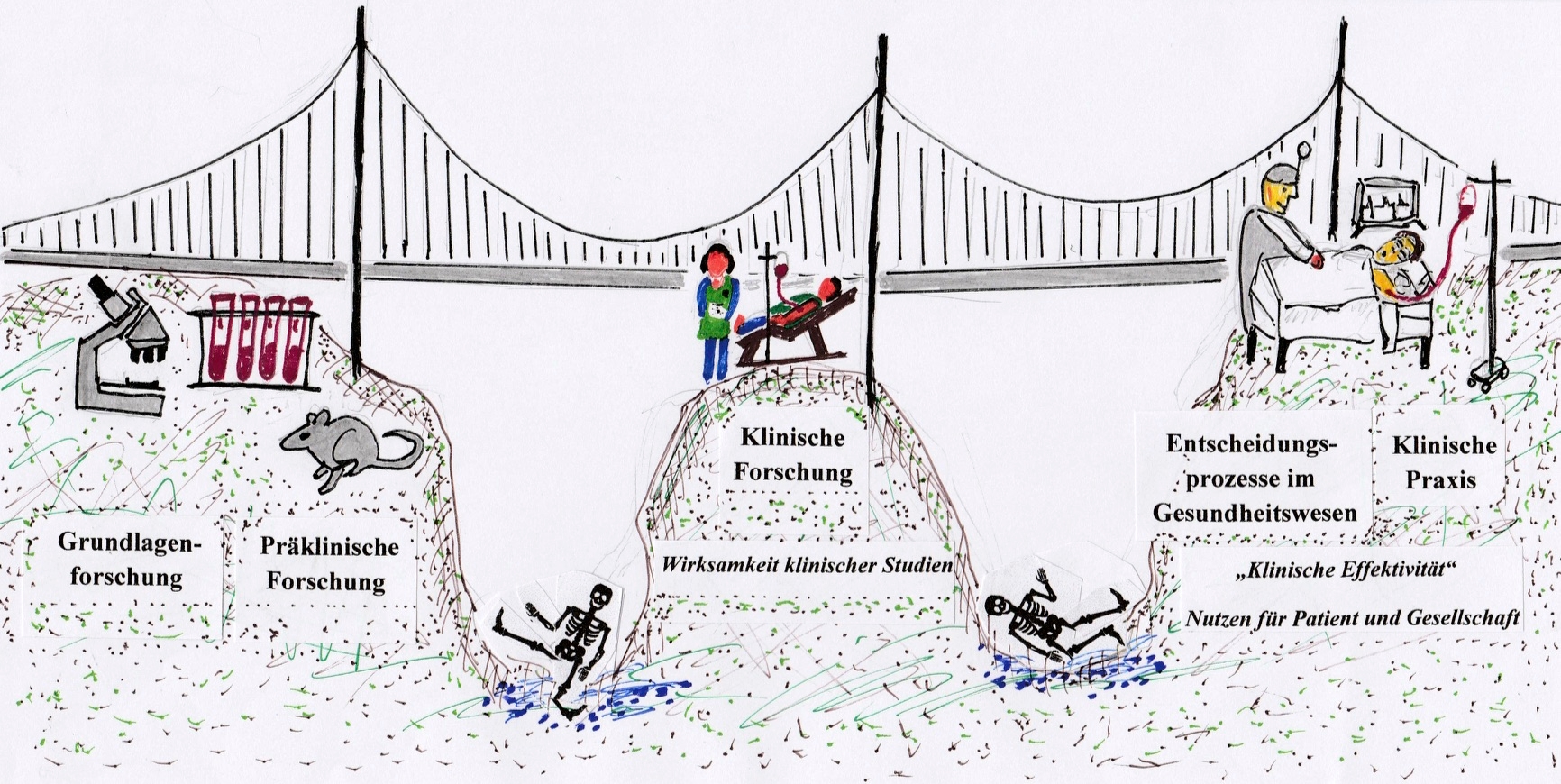 Translational cancer research is able to bridge the valley of death. The drawing shows a bridge spanning the two valleys of death in medical research - one between preclinical and clinical research and another between the clinical efficacy of drugs as dem