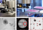 Die beiden oberen Bilder zeigen die Geräte für das automatisierte Cell-Picking. Unten ist anhand von drei mikroskopischen Schwarz-Weiß-Aufnahmen die optische Überwachung dargestellt. Zu sehen sind Zellen, die vom System automatisch rot markiert werden.