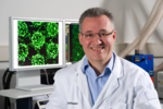 Der Wissenschaftler vor einem Computerbildschirm mit grün gefärbten Zellkulturen.