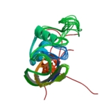 Reconstruction of the CD44 protein structure which has numerous alternative variants.