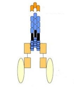 09223_de.jpg